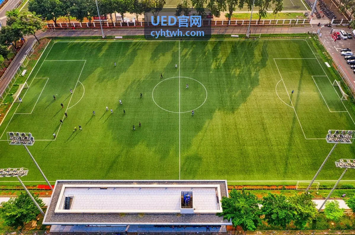 UED官网用户体验设计案例展示